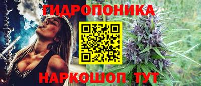 кокс Можайск